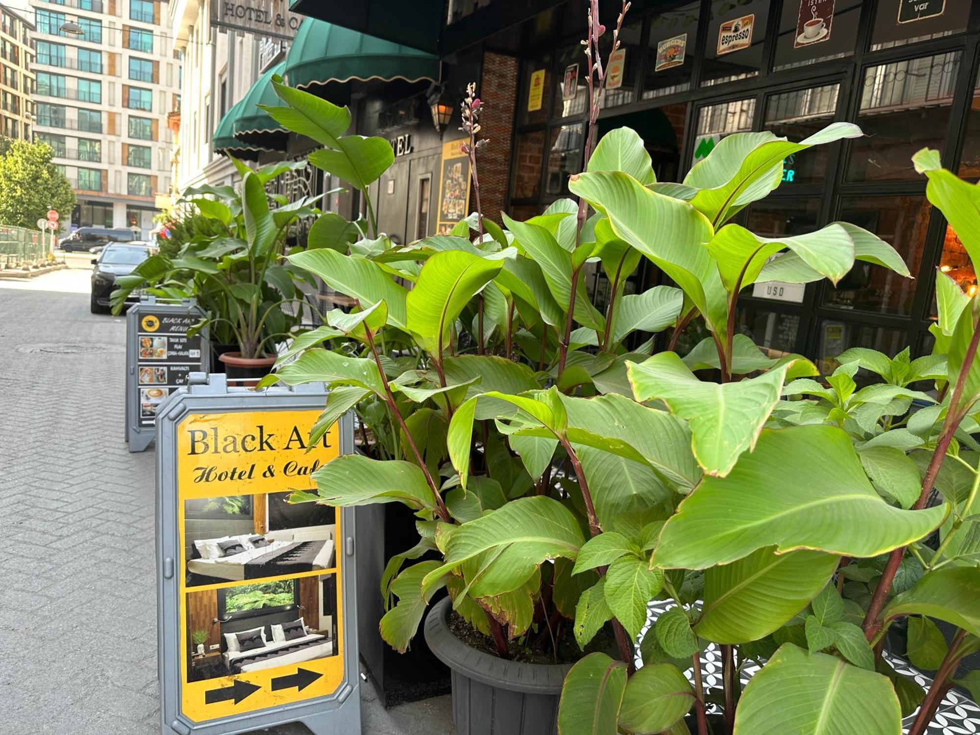 Black Art Otel 伊斯坦布尔 外观 照片